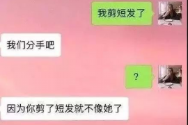 自贡债务清欠服务